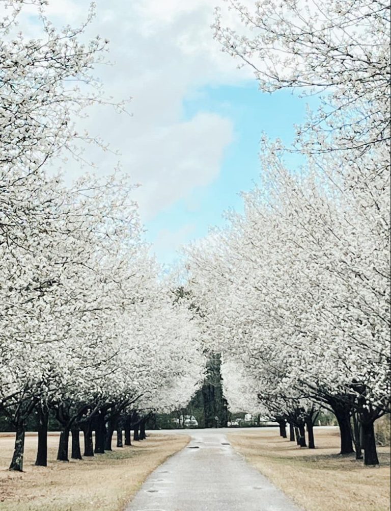 event venue entrance in spring